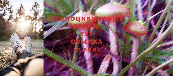гидропоника Алзамай
