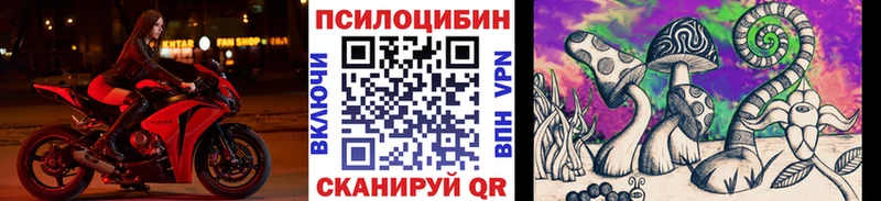 дарк нет клад  Серов  Псилоцибиновые грибы MAGIC MUSHROOMS 